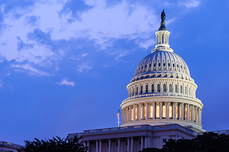 This week on the Hill: Federal issues update